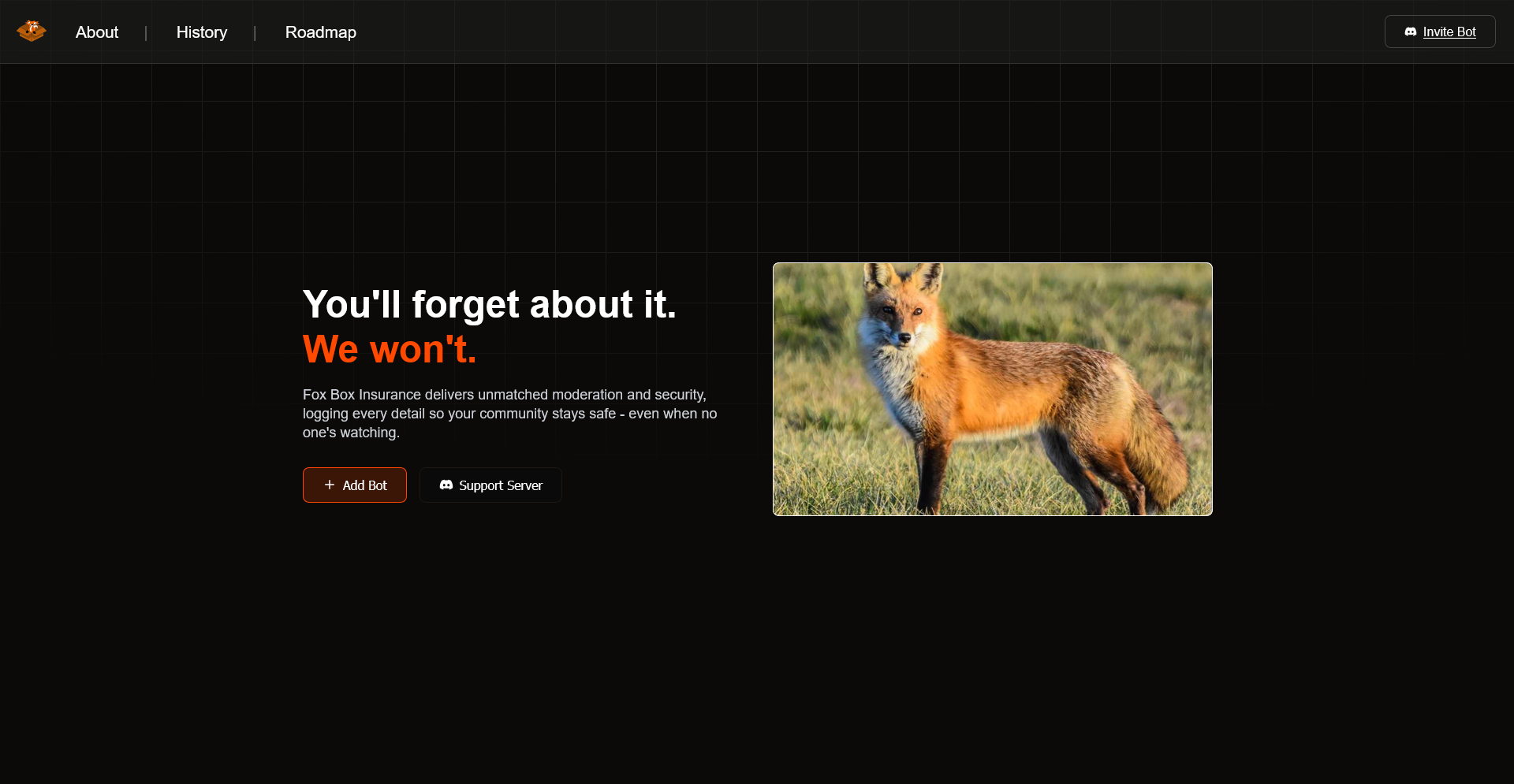 Discord Bot Website project preview
